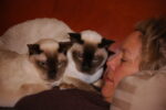 Cat Dharma